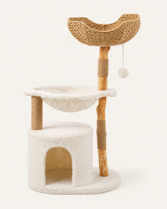 Kwispel-winkel | Moderne Kattenboom met Rotan Mand, Kattenhuis en Massief Houten Krabpalen