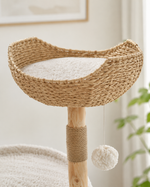 Kwispel-winkel | Moderne Kattenboom met Rotan Mand, Kattenhuis en Massief Houten Krabpalen
