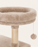 Kwispel-winkel | Kattenboom 135 cm met Kattenhuis, Hangmat en Sisal Krabpalen
