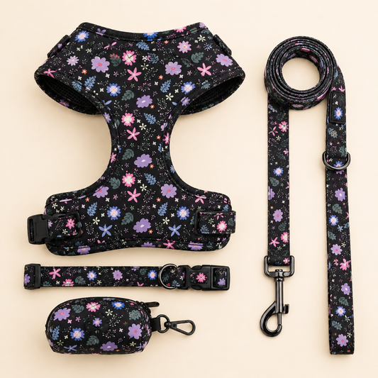 Kwispel-winkel | Hondenharnas met Riem en Print