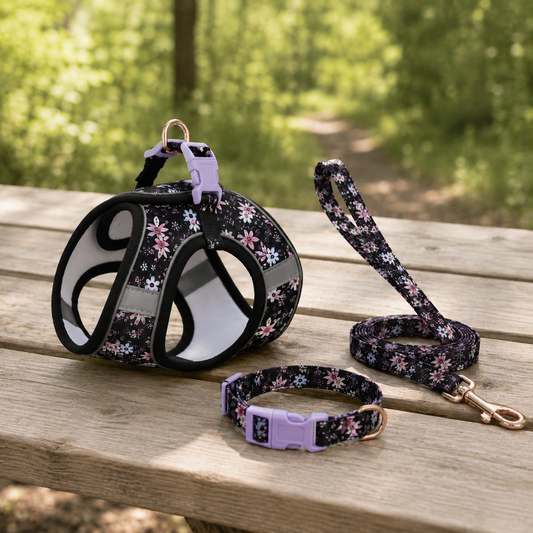 Kwispel-winkel | Bedrukte Wandelset voor Honden