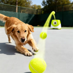Kwispelwinkel | Automatische Ballenwerper voor Honden – Met 3 Speelballen en 3 Werpafstanden
