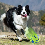 Kwispelwinkel | Wobble Giggle Glow Bal – Interactief Hondenspeelgoed met Geluid