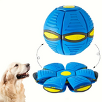 Kwispelwinkel | Magische Vliegende Schotelbal voor Honden