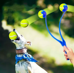Kwispel-winkel | Tennisbalwerper voor Honden