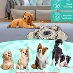 Kwispel-winkel | Snuffelmat voor Honden