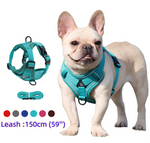 Kwispel-winkel | Hondenharnas met Riem – Verstelbare Wandelset voor Kleine Honden