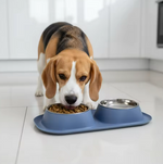 Kwispelwinkel | Dubbele Voerbakset voor Honden met Roestvrijstalen Bakken