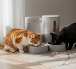 Kwispel-winkel | Transparante Automatische Voer- en Waterdispenser voor Katten
