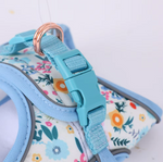 Kwispel-winkel | Bedrukte Wandelset voor Honden