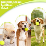 Kwispelwinkel | Automatische Ballenwerper voor Honden – Met 3 Speelballen en 3 Werpafstanden