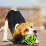 Kwispelwinkel | Wobble Giggle Glow Bal – Interactief Hondenspeelgoed met Geluid