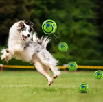 Kwispelwinkel | Wobble Giggle Glow Bal – Interactief Hondenspeelgoed met Geluid