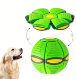 Kwispelwinkel | Magische Vliegende Schotelbal voor Honden