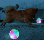 Kwispelwinkel | Flitsende Stuiterbal voor Honden – Interactieve Lichtbal