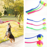 Kwispel-winkel | Tennisbalwerper voor Honden