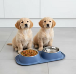 Kwispelwinkel | Dubbele Voerbakset voor Honden met Roestvrijstalen Bakken