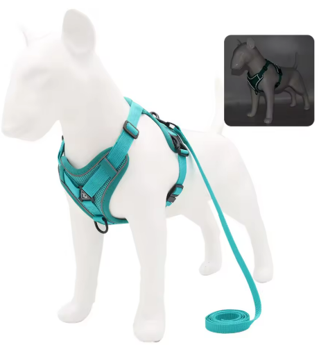 Kwispel-winkel | Hondenharnas met Riem – Verstelbare Wandelset voor Kleine Honden