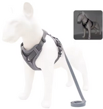Kwispel-winkel | Hondenharnas met Riem – Verstelbare Wandelset voor Kleine Honden