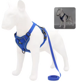 Kwispel-winkel | Hondenharnas met Riem – Verstelbare Wandelset voor Kleine Honden