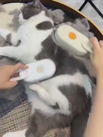 Kwispel-winkel | Elektrische Verzorgingsborstel met Sprayfunctie voor Katten en Honden