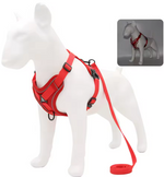Kwispel-winkel | Hondenharnas met Riem – Verstelbare Wandelset voor Kleine Honden
