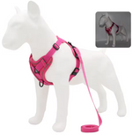 Kwispel-winkel | Hondenharnas met Riem – Verstelbare Wandelset voor Kleine Honden